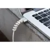 Şarj Kablosu Koruyucu Silikon Spiral Kablo Koruyucu-Siyah