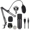 Ally Bm700 Profesyonel Stüdyo Kayıt Youtuber Mikrofonu Seti + St Siyah