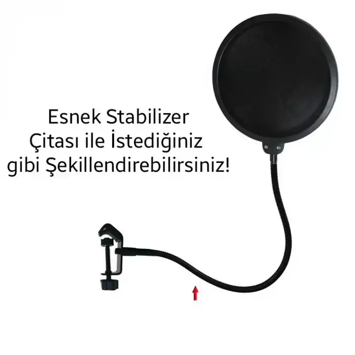 Ally Çift Katman Stüdyo için Mikrofon Pop Filtre Youtuber