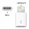 Micro Usb Den Iphone Lightning Çevirici Adaptör