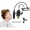 Ally Çift Katman Stüdyo için Mikrofon Pop Filtre Youtuber