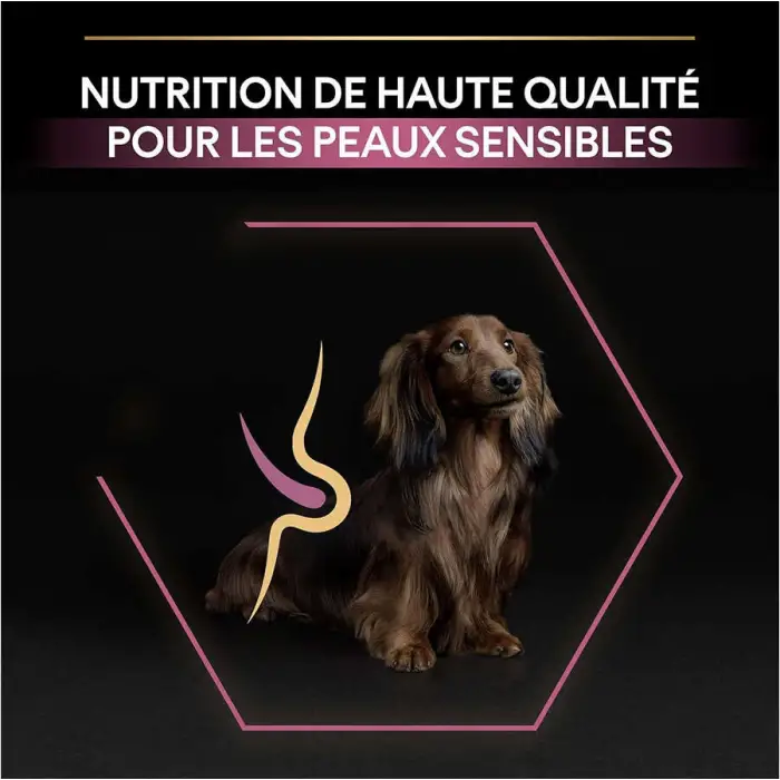 Pro Plan Small & Mini Somonlu 3 kg Küçük Irk Yetişkin Köpek Maması