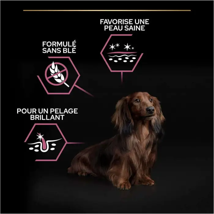 Pro Plan Small & Mini Somonlu 3 kg Küçük Irk Yetişkin Köpek Maması
