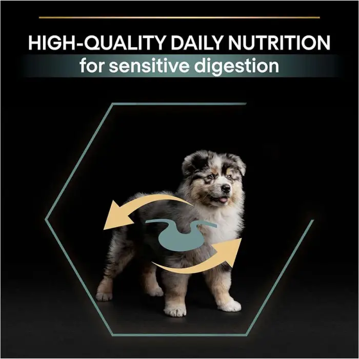 Pro Plan Medium Puppy Kuzu Etli 3 kg Orta Irk Yavru Köpek Maması