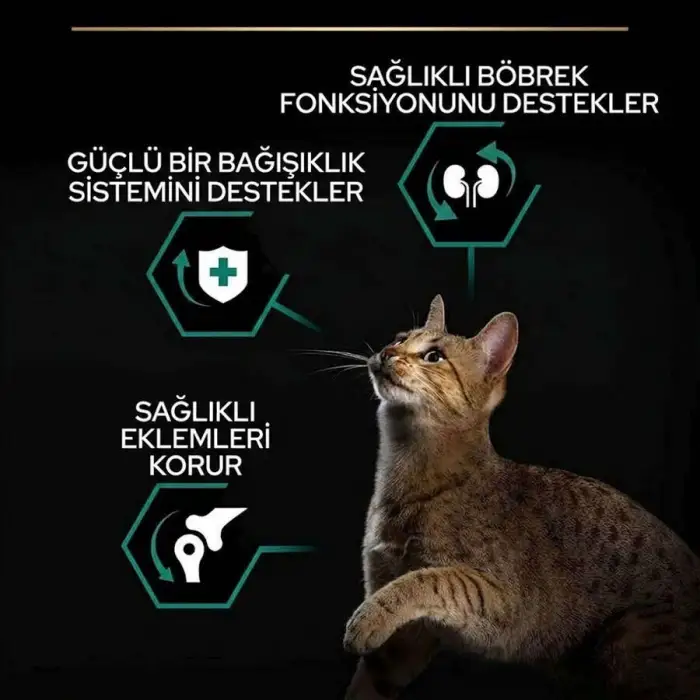 Pro Plan Tavuklu Yetişkin Kuru Kedi Maması 1,5 Kg