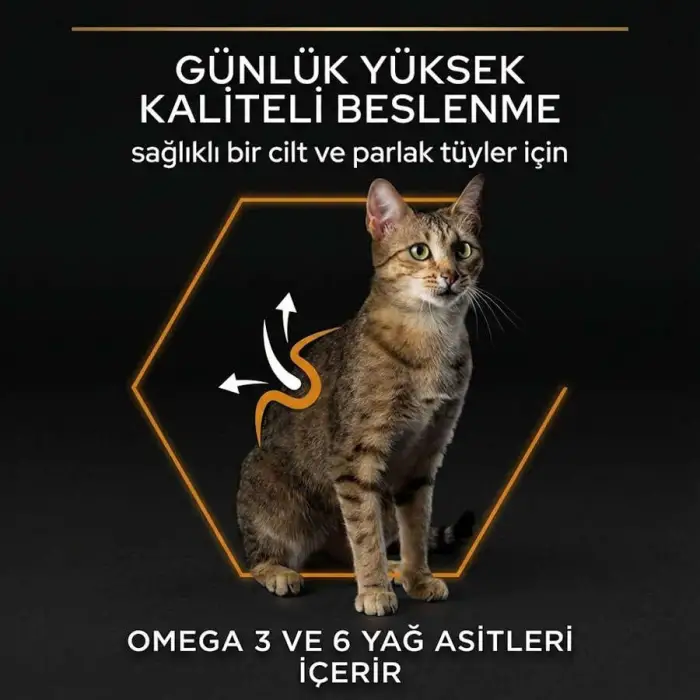 Pro Plan Derma Care Somonlu 10 kg Yetişkin Kedi Maması