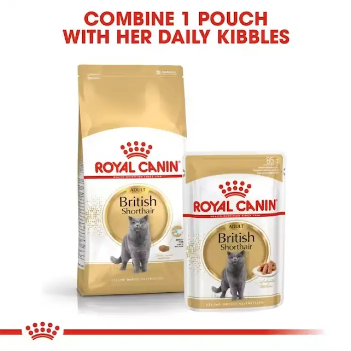 Royal Canin British Shorthair için Yaş Kedi Maması 85g X 12li Paket