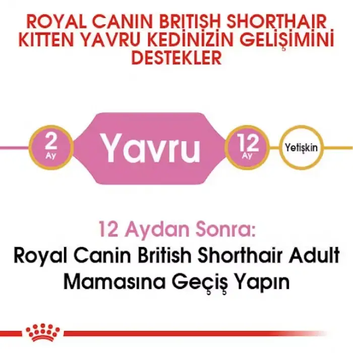 Royal Canin British Shorthair için Yavru Kedi Maması 2 Kg