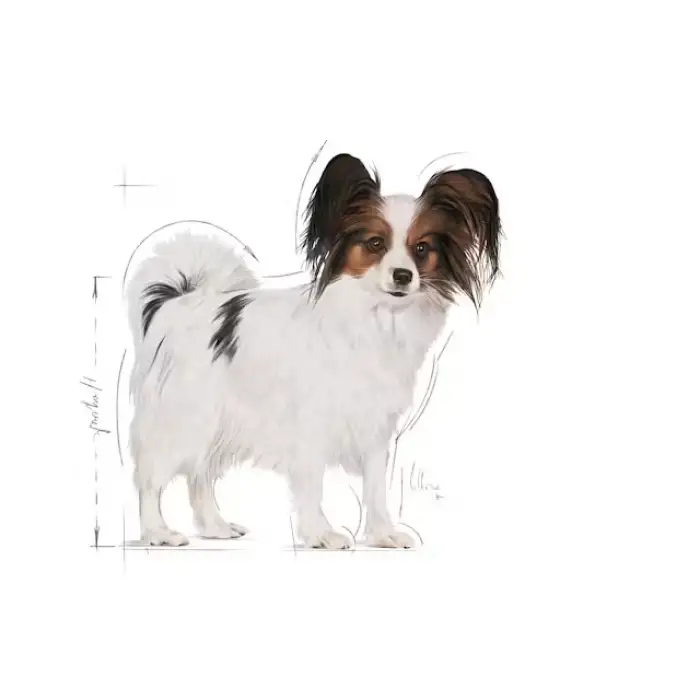 Royal Canin Çok Küçük Irklar için Kuru Köpek Maması 1.5 Kg