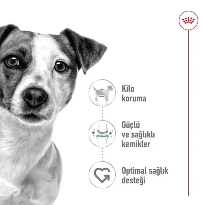 Royal Canin Küçük Irklar için Kuru Köpek Maması 8 Kg