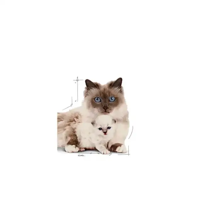 Royal Canin Mother and Babycat Kedi Konservesi 195 gr x 12 Adet