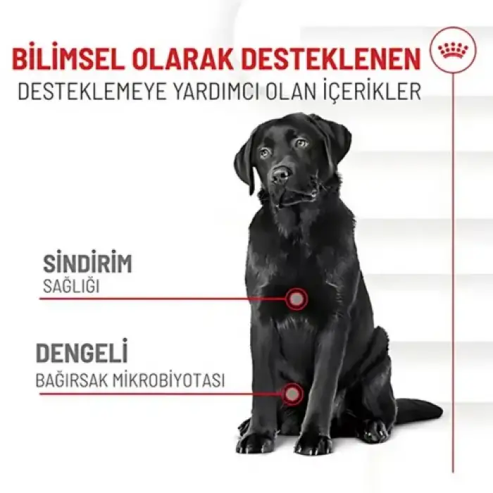 Royal Canin Sindirim Sistemi Destekli Yetişkin Köpek Ödül Maması 160gr