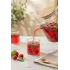 1600 ml Isıya Dayanıklı Borosilikat Cam Demlik ve Bitki Çayı Sürahisi