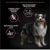 Pro Plan Medium Somonlu 14 kg Orta Irk Yetişkin Köpek Maması