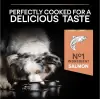 Pro Plan Medium Somonlu 14 kg Orta Irk Yetişkin Köpek Maması
