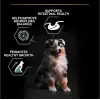 Pro Plan Medium Puppy Kuzu Etli 3 kg Orta Irk Yavru Köpek Maması