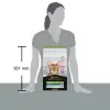 Pro Plan Sterilised Hindili ve Tavuklu Kısırlaştırılmış 1.5 kg Yetişkin Kedi Maması