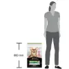 Pro Plan Sterilised Somonlu 10 kg Kısırlaştırılmış Yetişkin Kedi Maması