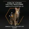 Pro Plan Derma Care Somonlu 10 kg Yetişkin Kedi Maması