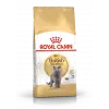 Royal Canin British Shorthair için Kuru Kedi Maması 2 Kg