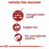Royal Canin Fit32 Yetişkin Kuru Kedi Maması 4 Kg