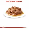 Royal Canin Instinctive Yaş Kedi Maması 85g X 12li Paket