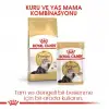Royal Canin İran Kedisi için Kuru Kedi Maması 2 Kg