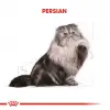 Royal Canin İran Kedisi için Kuru Kedi Maması 2 Kg