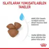 Royal Canin Mini Starter Küçük Irk Yavru Köpek Maması 4 Kg