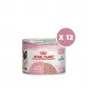 Royal Canin Mother and Babycat Kedi Konservesi 195 gr x 12 Adet