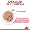 Royal Canin Mother and Babycat Kedi Konservesi 195 gr x 12 Adet