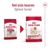 Royal Canin Orta Irklar için Yetişkin Kuru Köpek Maması 15 Kg