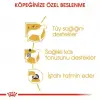 Royal Canin Poodle Yaş Köpek Maması 85g x 12li Paket