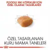 Royal Canin Poodle Yetişkin Kuru Köpek Maması 3 Kg
