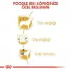 Royal Canin Poodle Yetişkin Kuru Köpek Maması 3 Kg