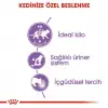 Royal Canin Sos İçinde Kısırlaştırılmış Yetişkin Kedi Yaş Maması 85gr x 12 li Paket