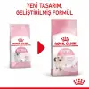 Royal Canin Yavru Kediler için Kuru Kedi Maması 10 Kg