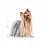 Royal Canin Yorkshire Terrier Yaş Köpek Maması 85g x 12li Paket