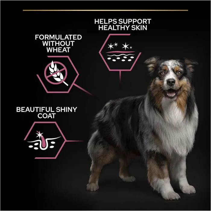 Pro Plan Medium Somonlu 14 kg Orta Irk Yetişkin Köpek Maması