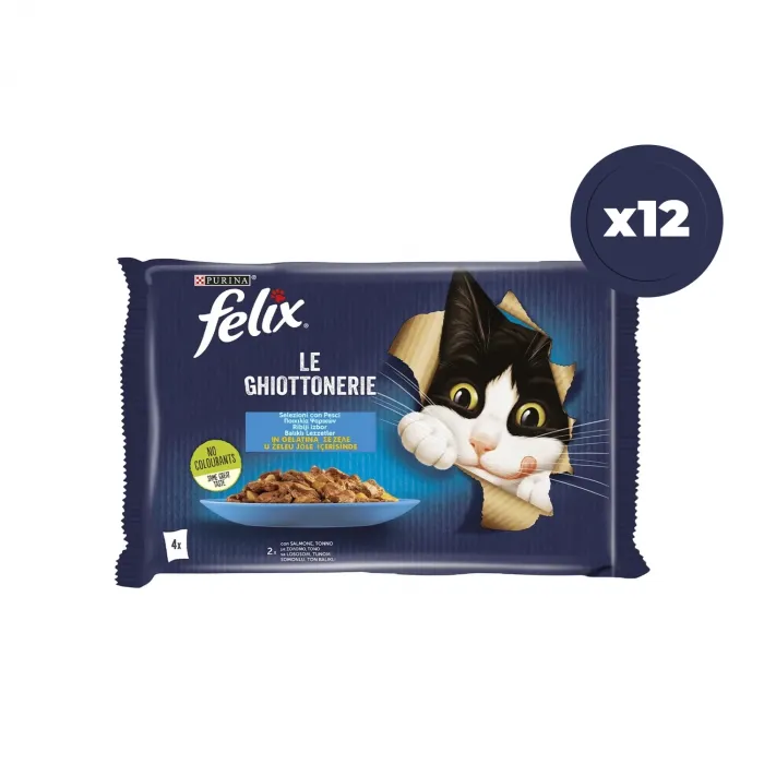 Felix Multipack Somonlu ve Ton Balıklı 4x85 gr 12li Yetişkin Kedi Yaş Maması