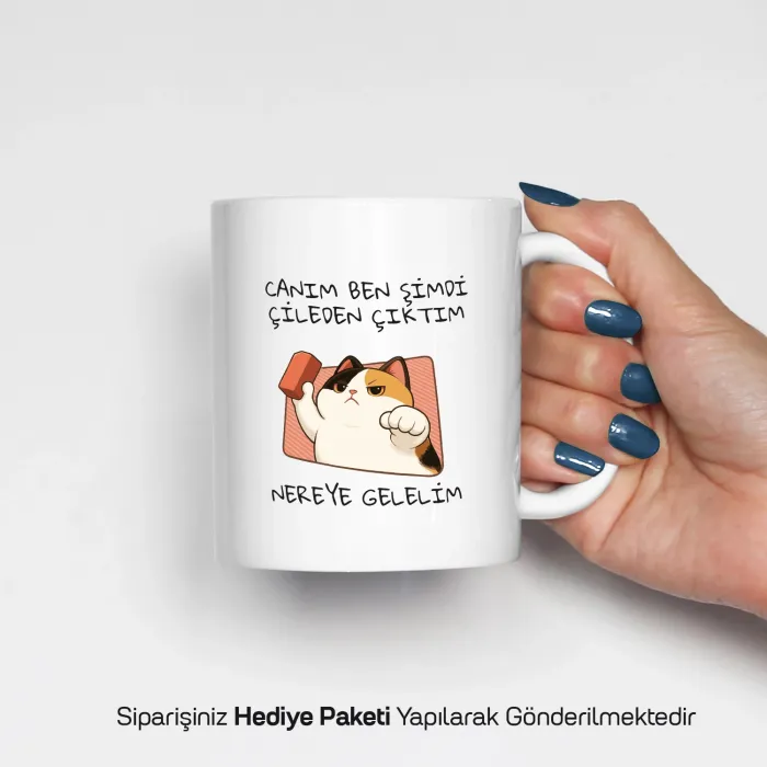 Çileden Çıktım Temalı Kupa Bardak