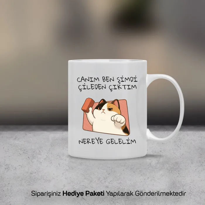 Çileden Çıktım Temalı Kupa Bardak