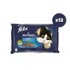 Felix Multipack Somonlu ve Ton Balıklı 4x85 gr 12li Yetişkin Kedi Yaş Maması