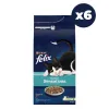 Felix Seaside Sensations Somonlu 2x6 kg Yetişkin Kedi Maması