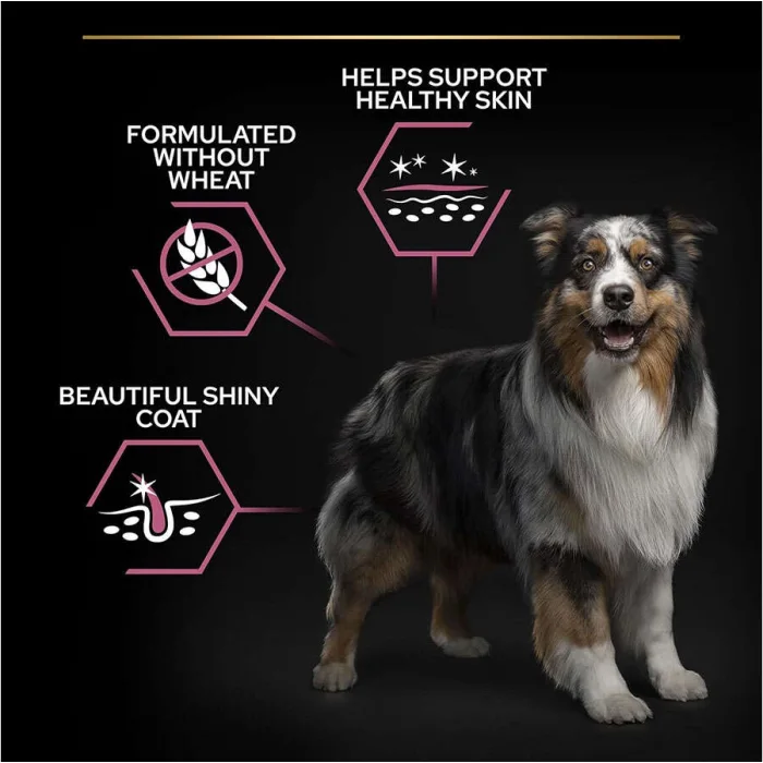 Pro Plan Medium Somonlu 14 kg Orta Irk Yetişkin Köpek Maması