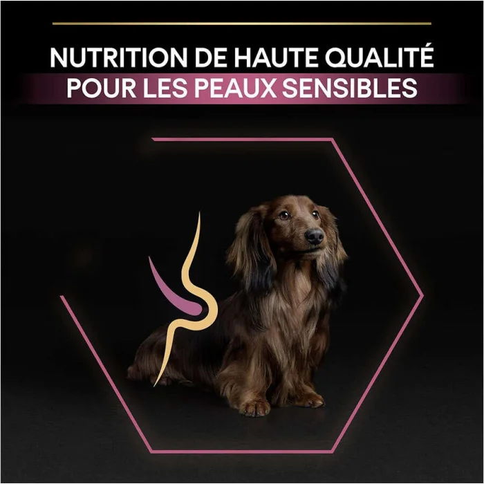 Pro Plan Small & Mini Somonlu 3 kg Küçük Irk Yetişkin Köpek Maması