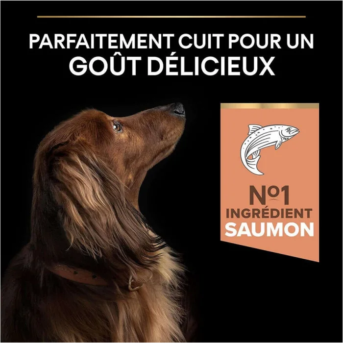 Pro Plan Small & Mini Somonlu 3 kg Küçük Irk Yetişkin Köpek Maması