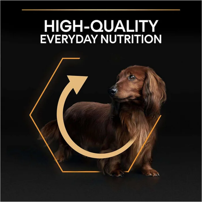 Pro Plan Small & Mini Tavuklu 3 kg Küçük Irk Yetişkin Köpek Maması