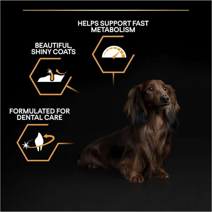 Pro Plan Small & Mini Tavuklu 3 kg Küçük Irk Yetişkin Köpek Maması