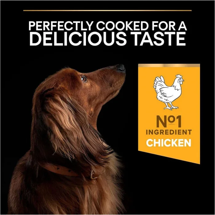 Pro Plan Small & Mini Tavuklu 3 kg Küçük Irk Yetişkin Köpek Maması